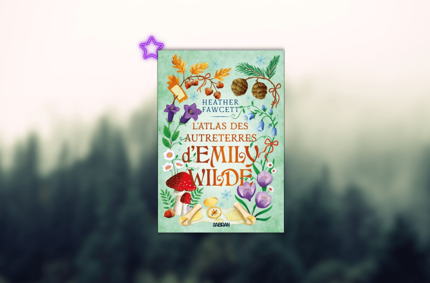 Avis L'atlas des autresterres d'Emily Wilde
