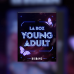 La box young adult de Bigbang