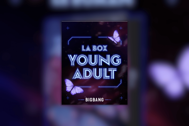 La box young adult de Bigbang